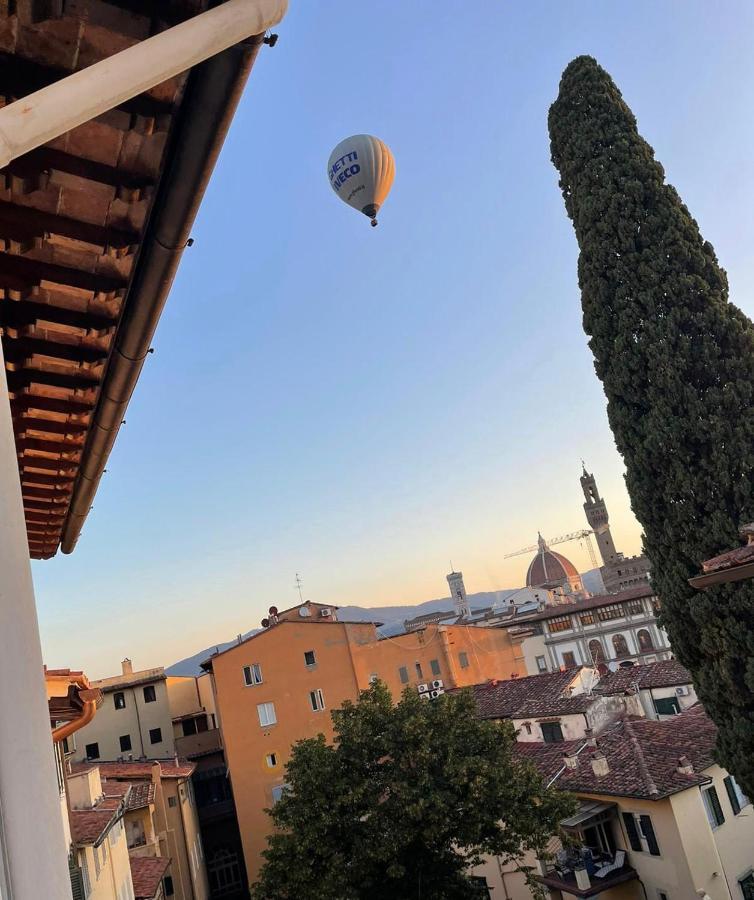 Magnoli Elegant View